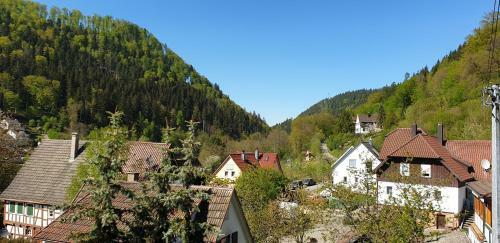 Apartamento Ferienwohnung Wolfsschlucht