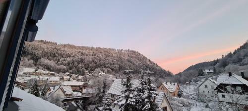 Apartamento Ferienwohnung Wolfsschlucht
