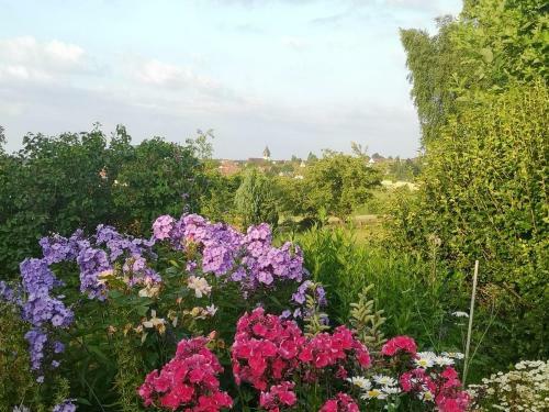 Apartamentos Ferienwohnung Schmuckk�stchen