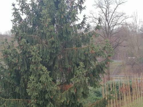 Apartamento Haus Lupo Am Kanal