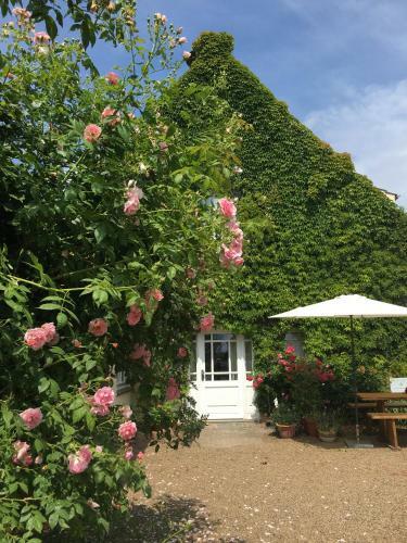 Apartamento Landhaus Am Deich
