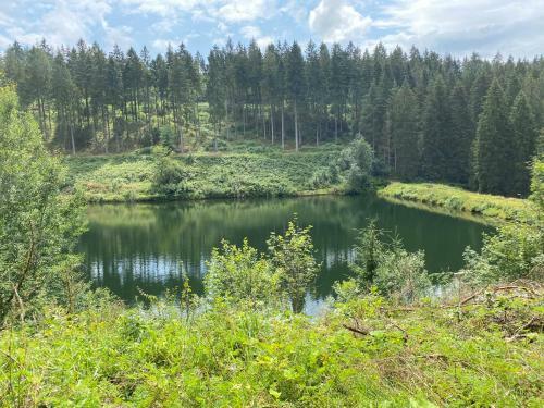 Apartamento Ferienwohnung Hohensee Eg