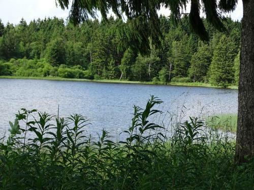 H�ttenflair Am See Mit Kamin