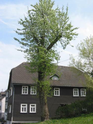 Apartamento Ferienhaus Mittelstra�e
