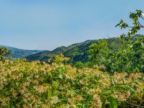 Holiday Home Il Castagneto Pontassieve