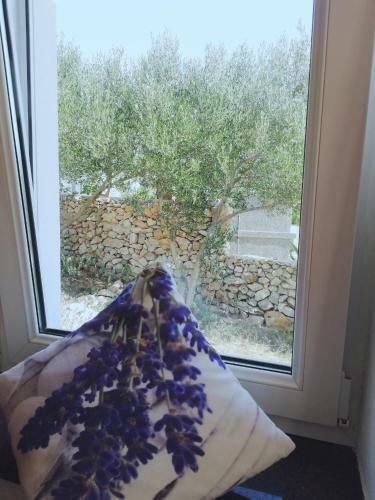 Lavender House