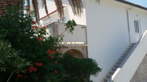 Apartamentos Ana Andreskic
