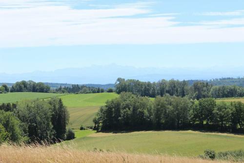 Apartamento Ferienwohnung Zum Hohlenstein
