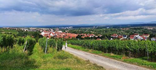 Apartamento Ferienwohnung Fackelmann