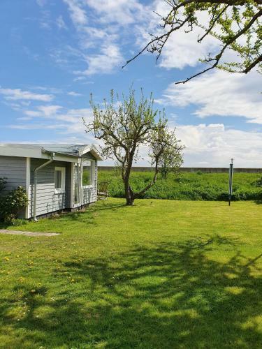 Apartamento Hagelstein III "herzmuschel"