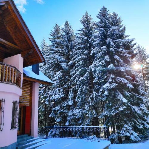 Villa Luxury Love Chalet