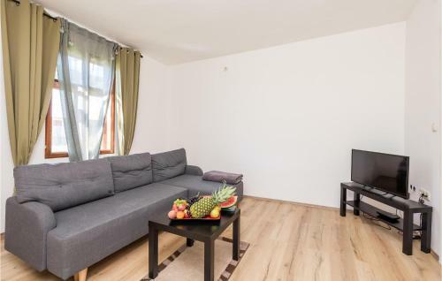 Beautiful Home In Mrkopalj With Wifi And 2 Bedrooms