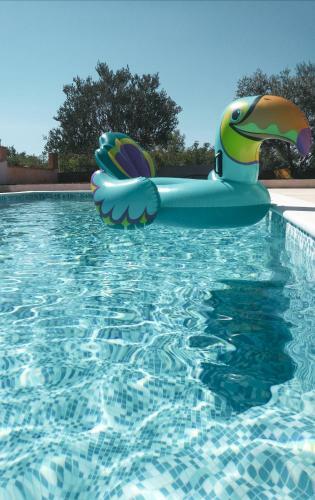 Apartments Mate?i?