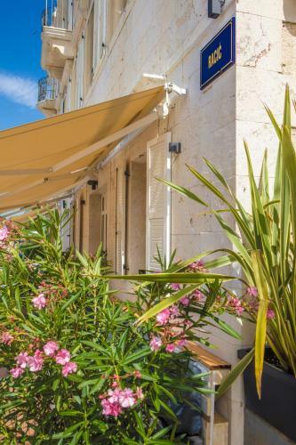 Hostal Olife Guesthouse