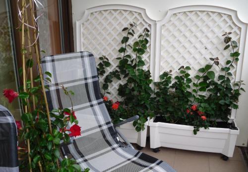 Apartamentos Ferienwohnung Rothe
