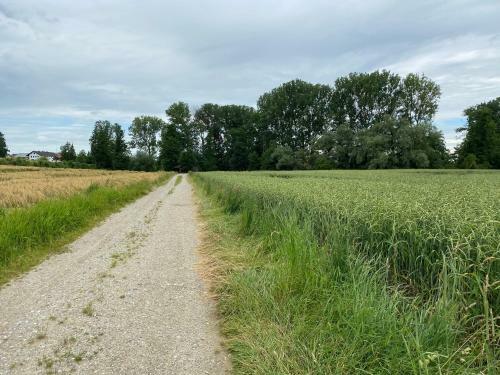 Apartamento Landgut Zur M�hle