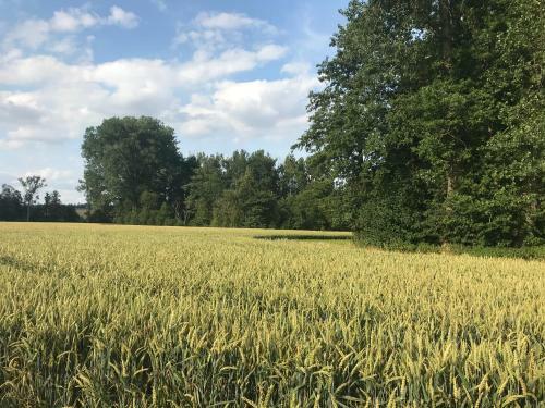Apartamento Landgut Zur M�hle