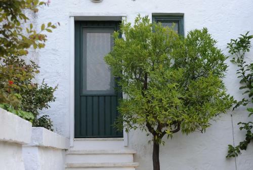 Agroturismo Masseria Il Frantoio
