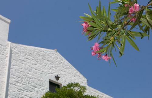 Agroturismo Masseria Il Frantoio