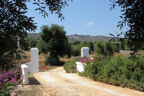 Hostal Lama Di Galizia