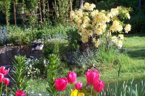 Bed & Breakfast Le Moulin Du Bignon
