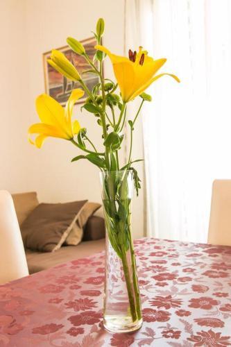 Apartamentos Snje?ana