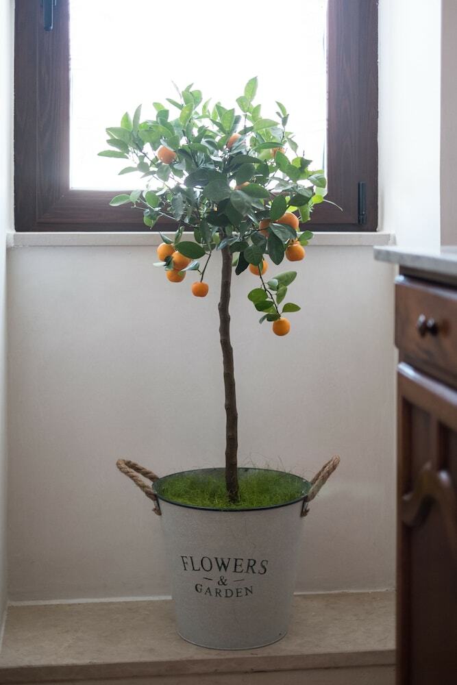 Apartamento Mogliara
