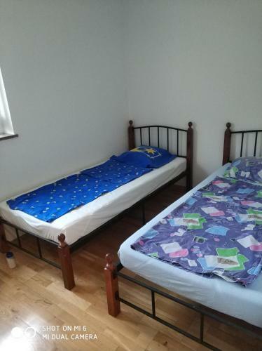 Apartments Nogic