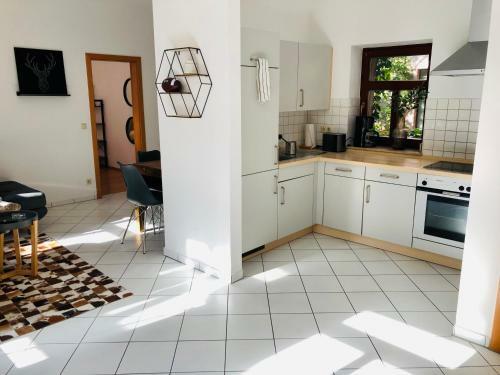 Helles 2 Raum Apartment Mit Eigener Terrasse Dresden Altstadt