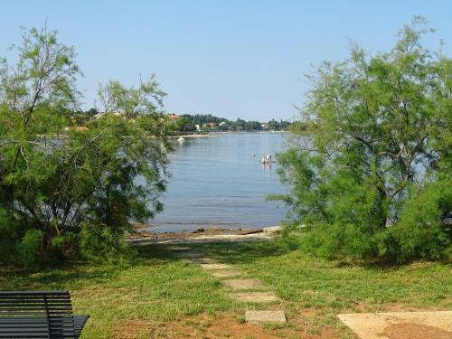 Olga Apartment Near The Beach