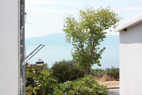 Hostal Rooms With A Parking Space Podaca, Makarska - 517