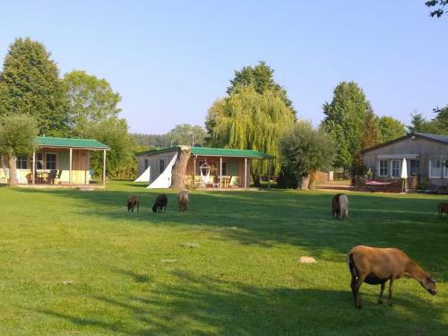Holiday Home Along The Achterwasser In L�tow