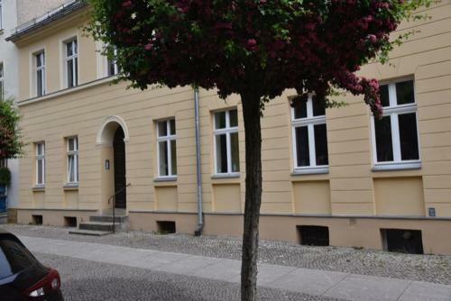 Apartamento Ferienwohnung Zentrum