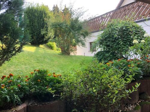 Apartamento Ferienhaus Morgensonne