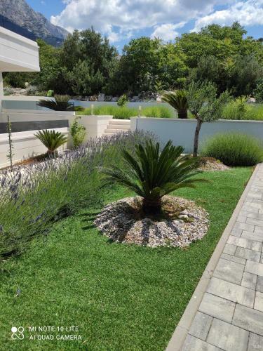Hostal Apartments Villa Hadria