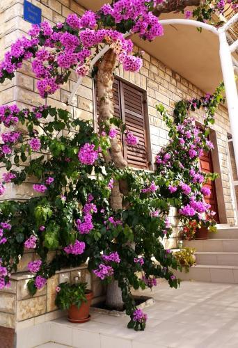 Hostal Sweet Room In Makarska