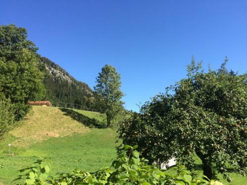 Apartamentos Ferienwohnungen Landinger