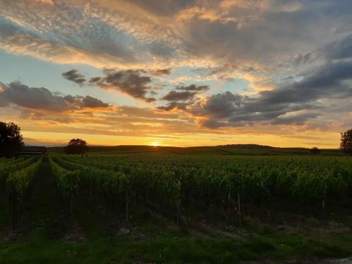 Apartamento Winzerhof Henkenberg