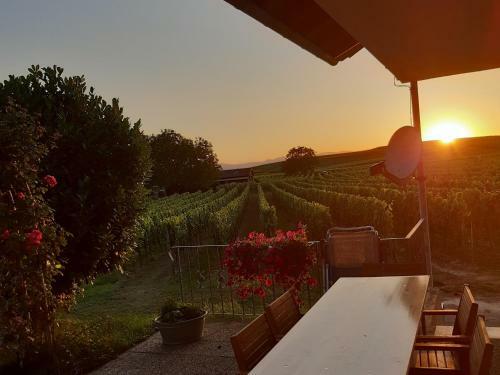 Apartamento Winzerhof Henkenberg