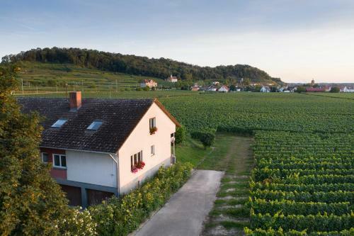 Apartamento Winzerhof Henkenberg