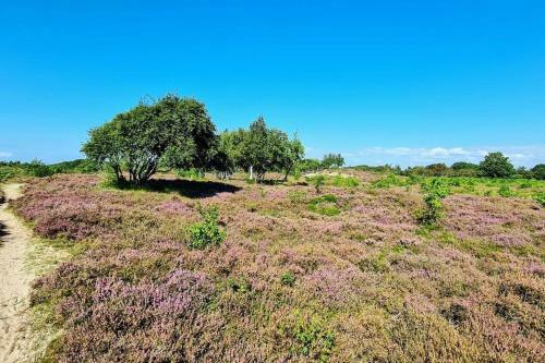 Apartamento Ferienwohnung Leuchtturm