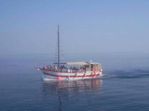 Boat-fishing Charter Averto