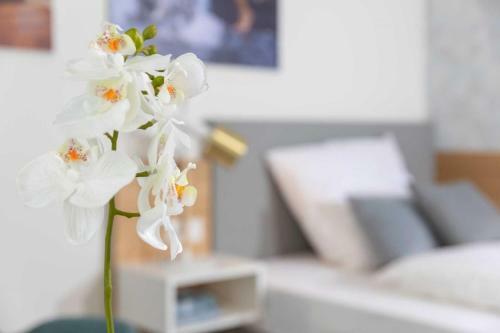 Apartamento Nino-boardinghouse 16