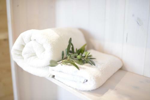 Domizil Opatija A&n, Villa Mit Pool, Sauna U Gro�em Garten