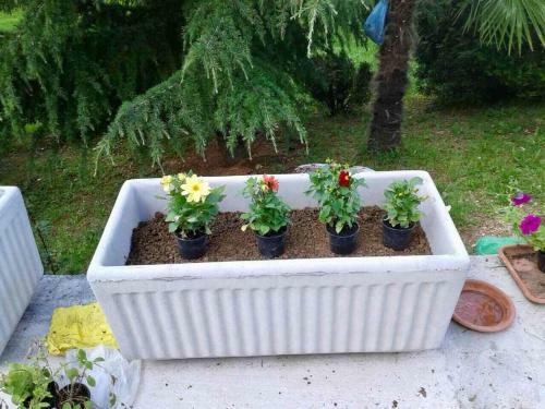 Apartamento Holiday House Martina