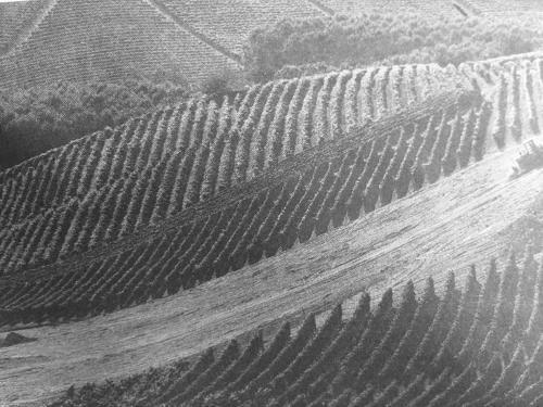 Agroturismo Sangrato 1883