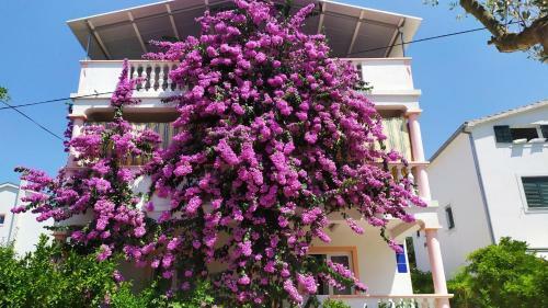 Apartamento Villa Jadranka Pakostane
