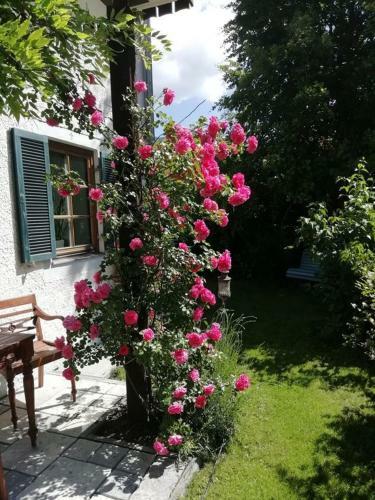 Apartamento K�nig Ludwig' Das M�rchenhafte Appartement
