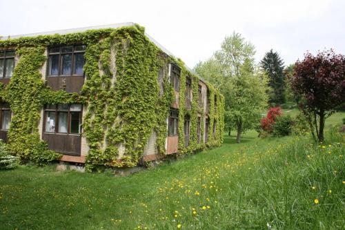 Apartamento Parkblick Appartement - Entspannung Pur!