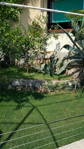 Apartamentos Apatmani Milena